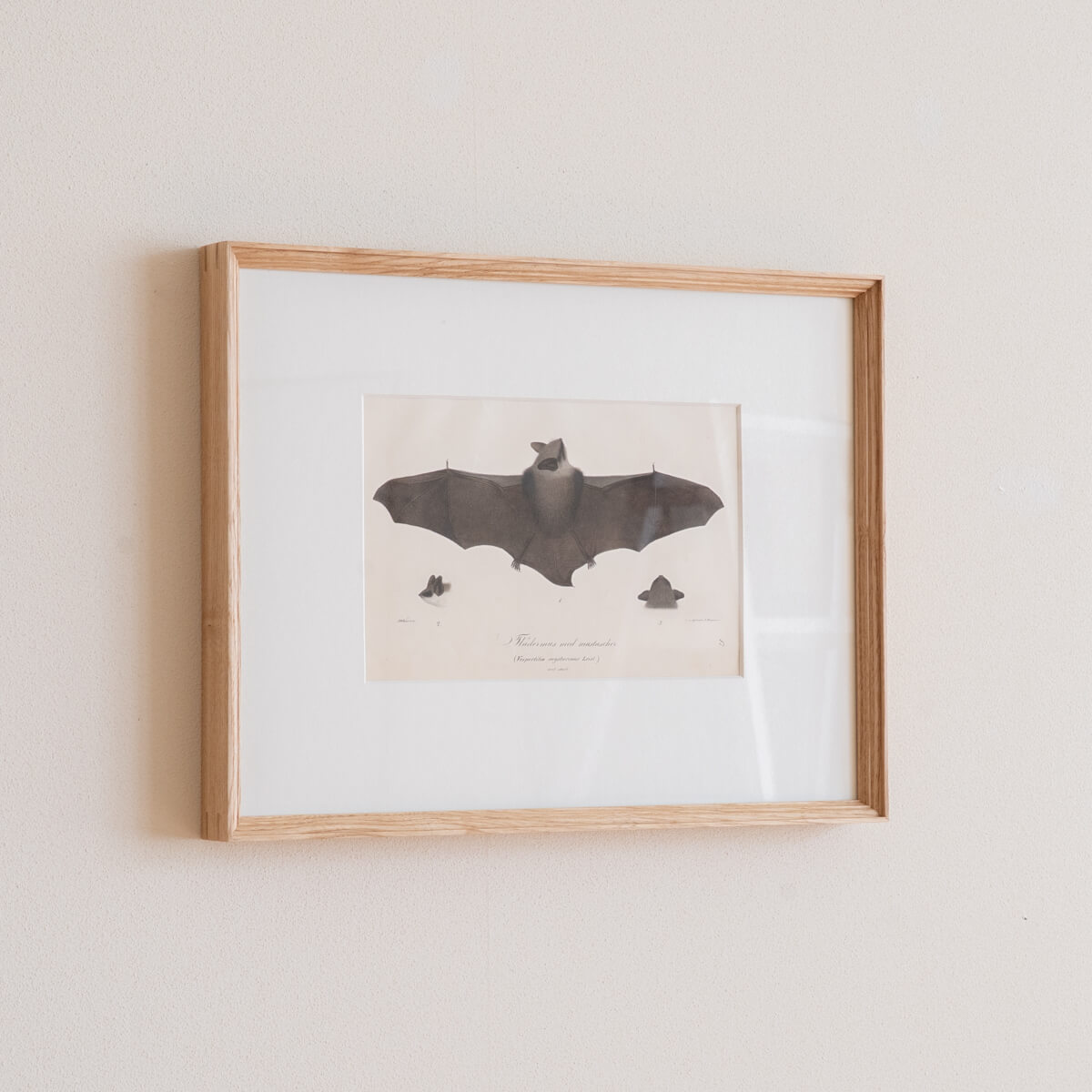 コンパクトで発見のある北欧アート