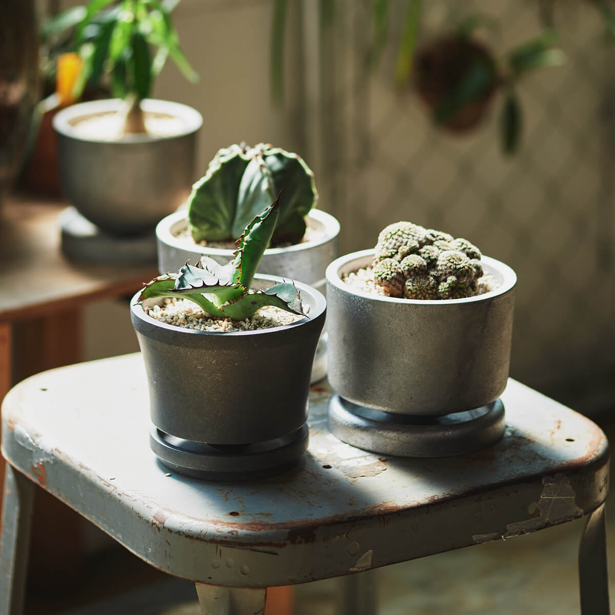 PLANTER ”VERN”